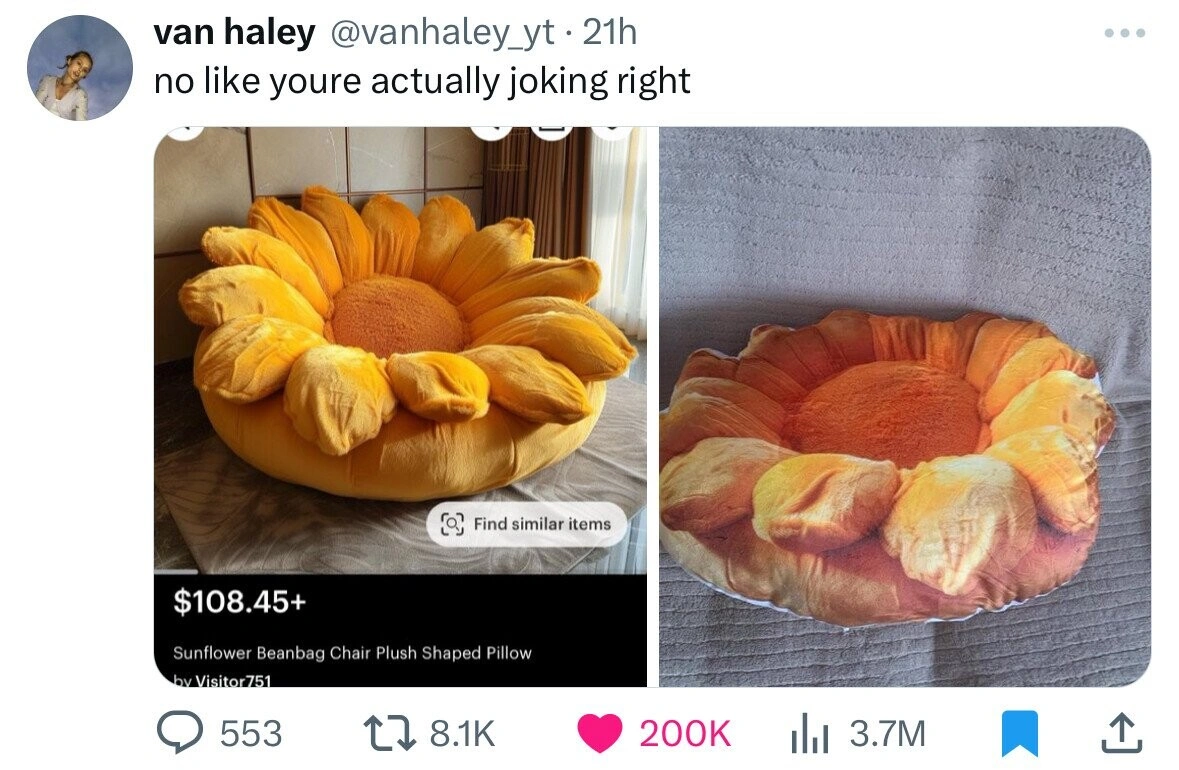 Tuesday Tidbits: 41 Entertaining Randoms to Brighten Your Day