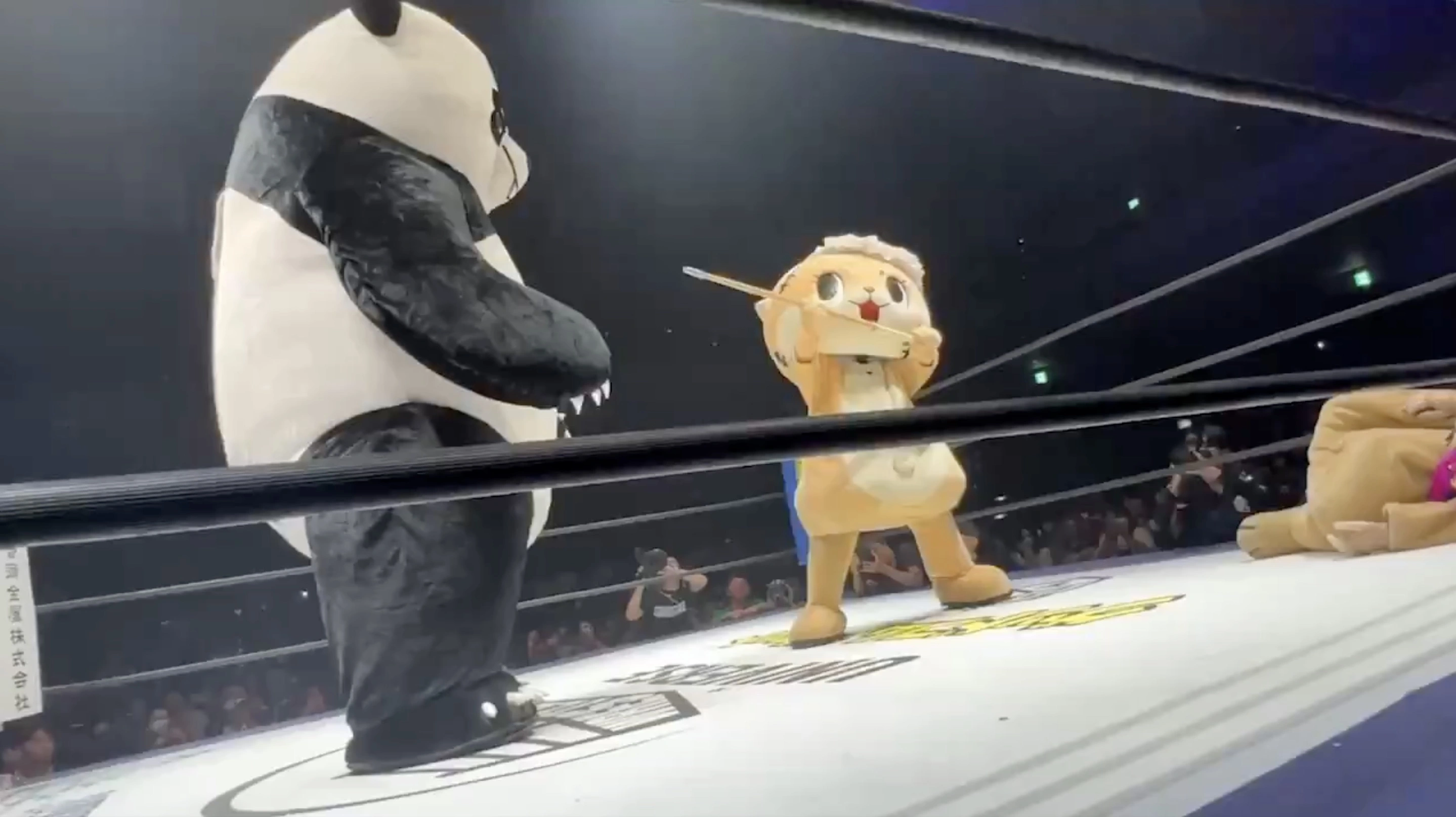 31 Unforgettable Japanese Wrestling Moments with the Unlikely Addition of a Giant Panda