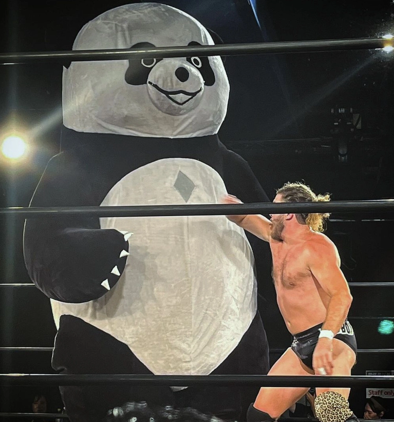 31 Unforgettable Japanese Wrestling Moments with the Unlikely Addition of a Giant Panda