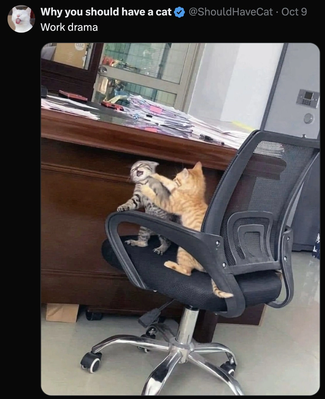 30 Hilarious Tweets That Will Make Your Day