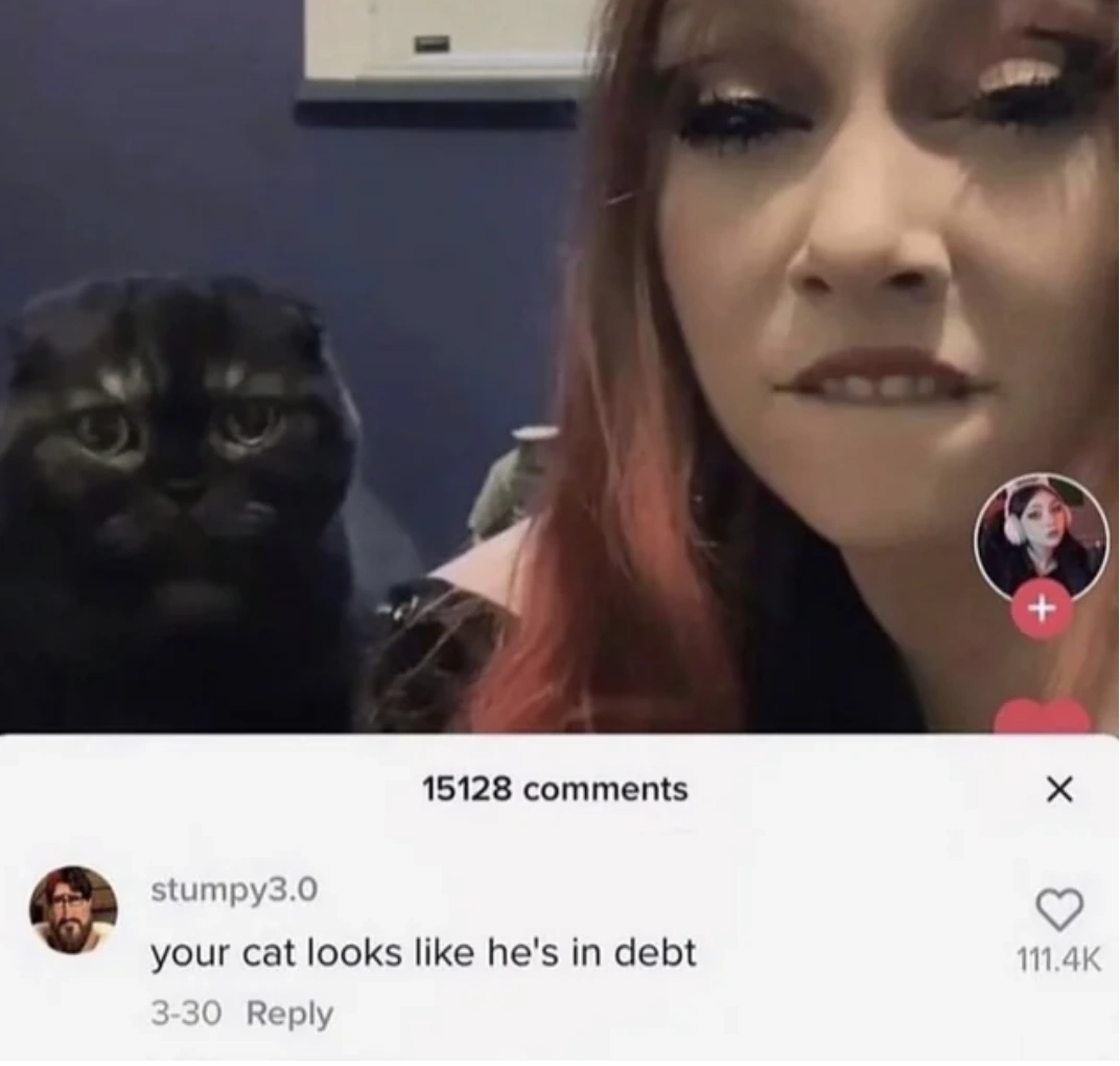 25 Individuals Who Were Brutally Roasted in the Comment Section