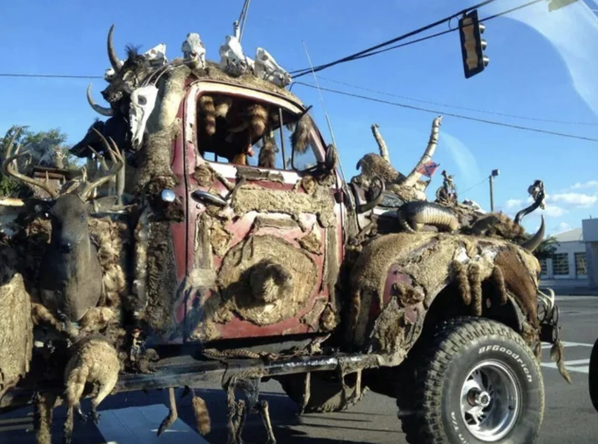 47 Energizing Morning Randoms to Kickstart Your Day with a Bang!