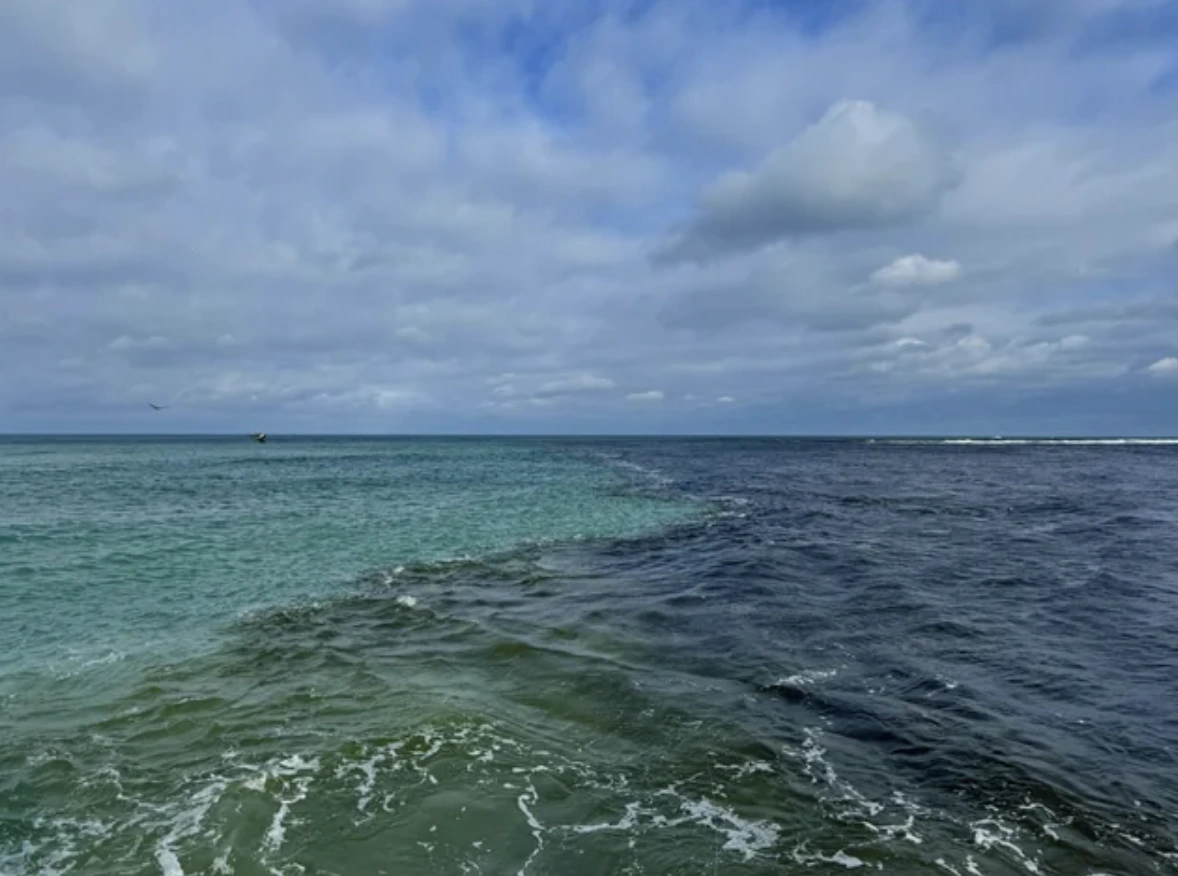 47 Energizing Morning Randoms to Kickstart Your Day with a Bang!