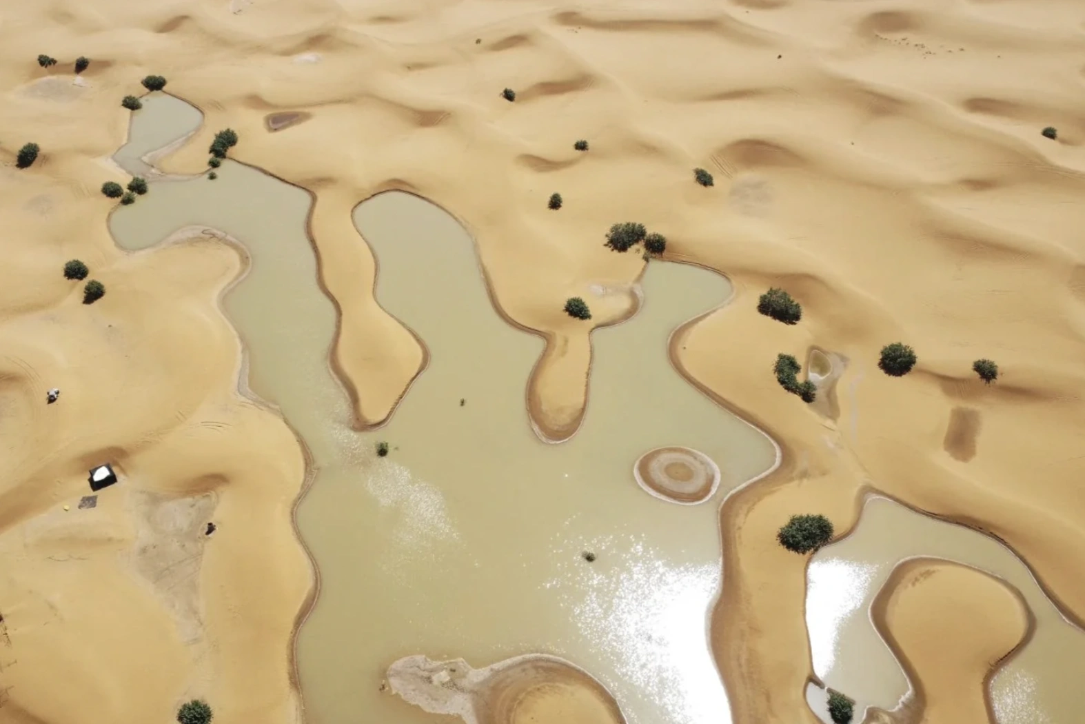 47 Energizing Morning Randoms to Kickstart Your Day with a Bang!