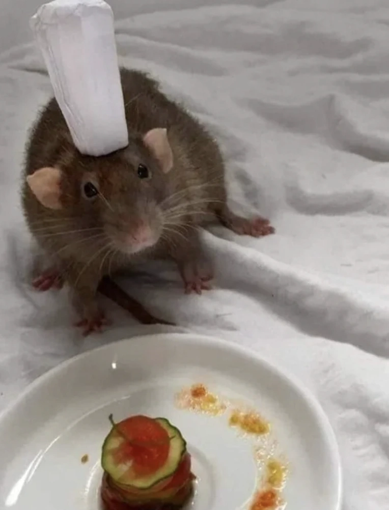 47 Energizing Morning Randoms to Kickstart Your Day with a Bang!