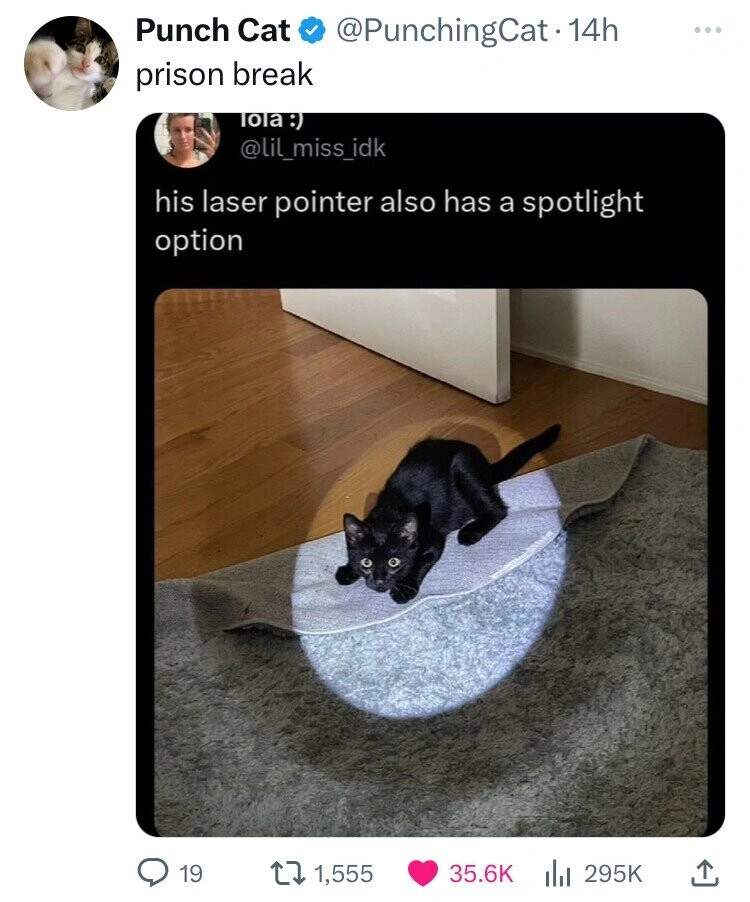 47 Energizing Morning Randoms to Kickstart Your Day with a Bang!