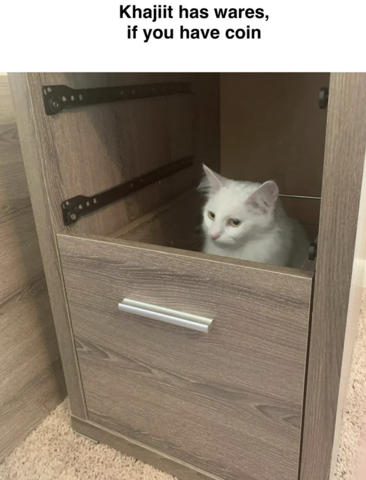 Rise and Shine for a Good Giggle: 46 Hilarious Memes, Pics, and Tweets to Start Your Day with Laughter