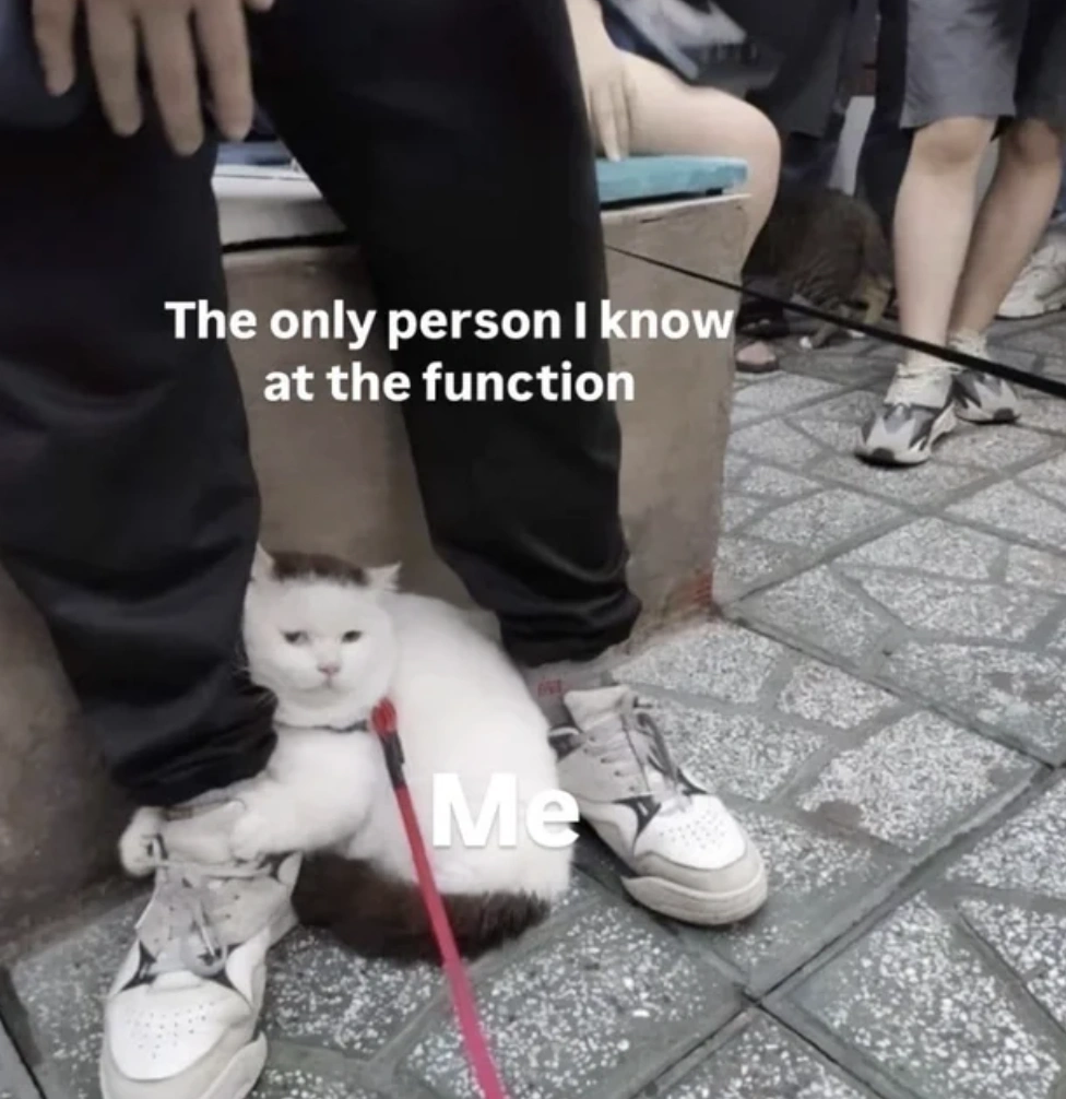 Rise and Shine for a Good Giggle: 46 Hilarious Memes, Pics, and Tweets to Start Your Day with Laughter