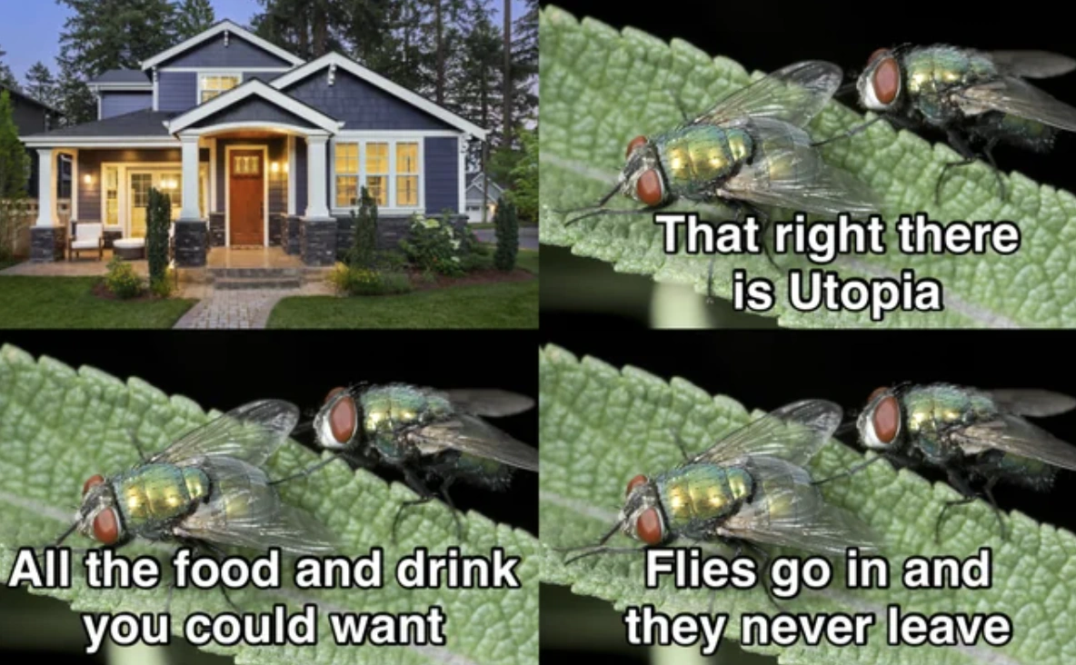 Rise and Shine for a Good Giggle: 46 Hilarious Memes, Pics, and Tweets to Start Your Day with Laughter