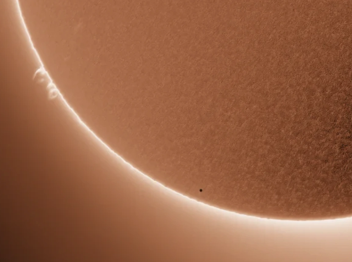 Rise and Shine for a Good Giggle: 46 Hilarious Memes, Pics, and Tweets to Start Your Day with Laughter