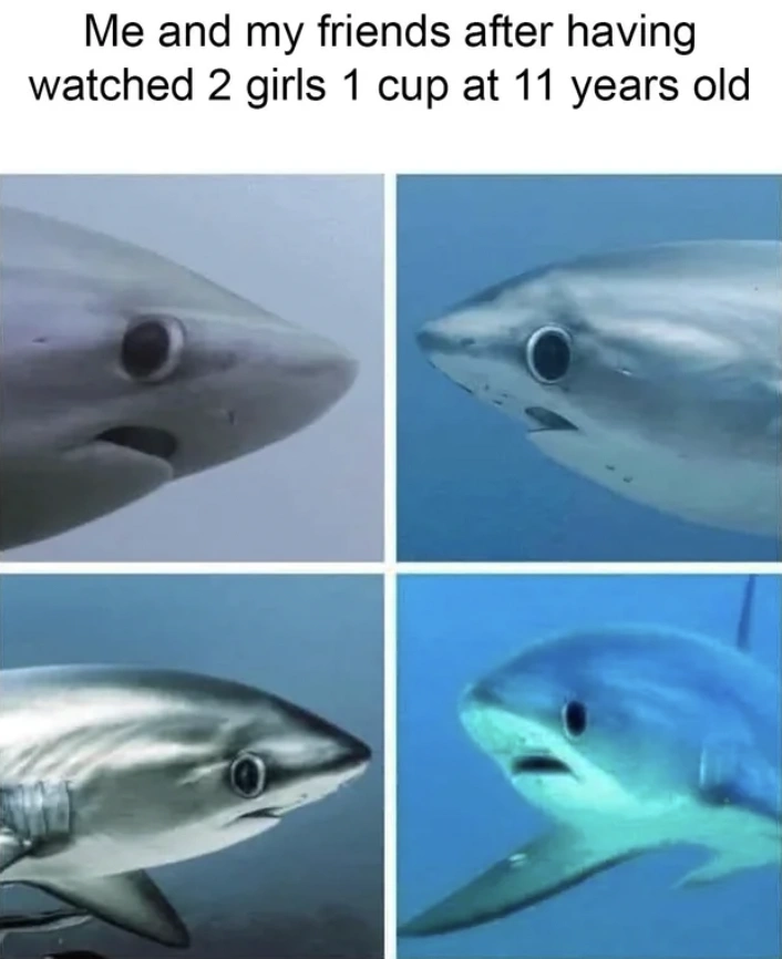 41 Hilarious Memes and Pictures to Jumpstart Your Morning