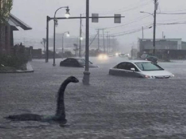 35 Hilarious Photos of Epic Fails