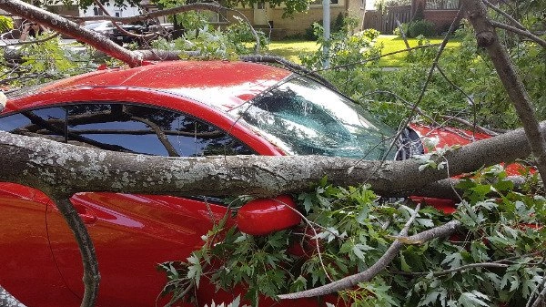 35 Hilarious Photos of Epic Fails
