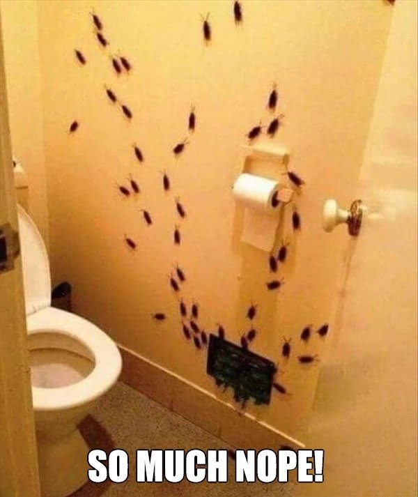 35 Hilarious Photos of Epic Fails