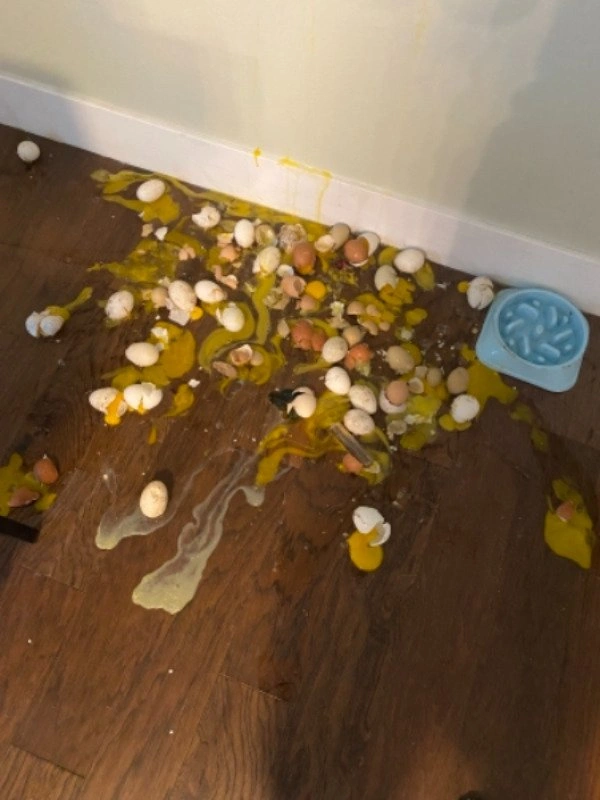35 Hilarious Photos of Epic Fails