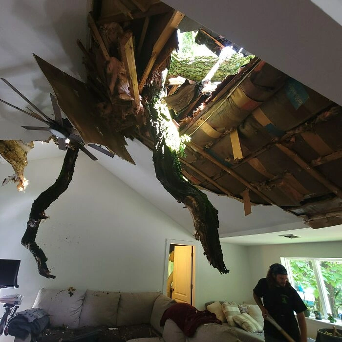 30 Individuals Enduring a More Challenging Day Than You