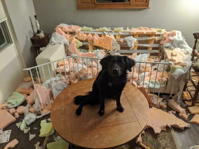 30 Individuals Enduring a More Challenging Day Than You