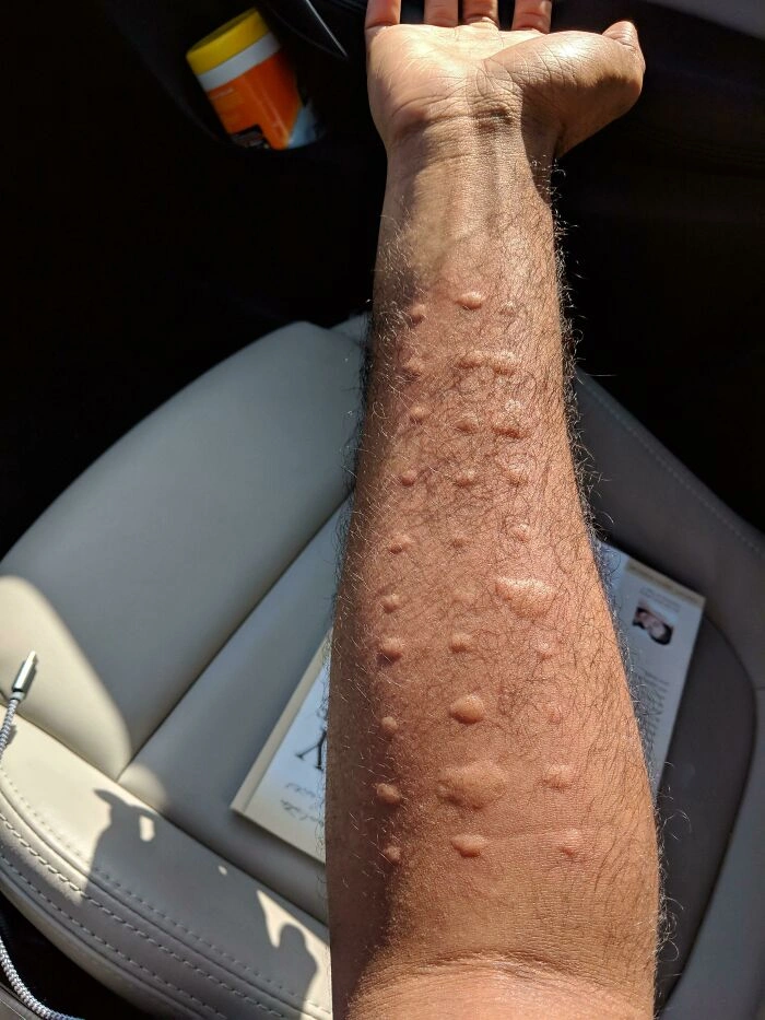 30 Individuals Enduring a More Challenging Day Than You
