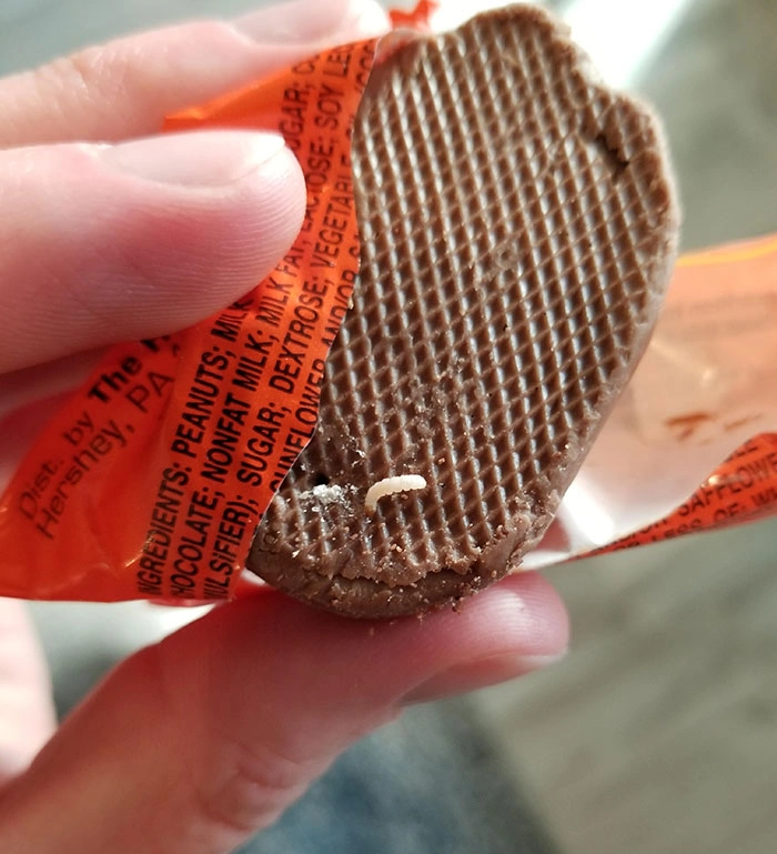 30 Individuals Enduring a More Challenging Day Than You