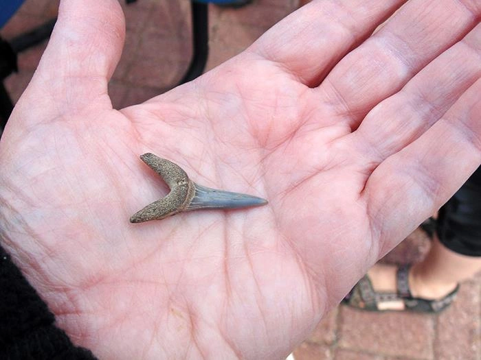 24 Hidden Truths People Keep from Their Closest Ones