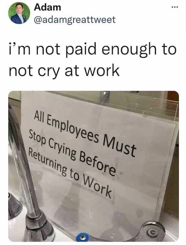 19 Hilarious Work Memes that Surprised Their Manager with a Gift