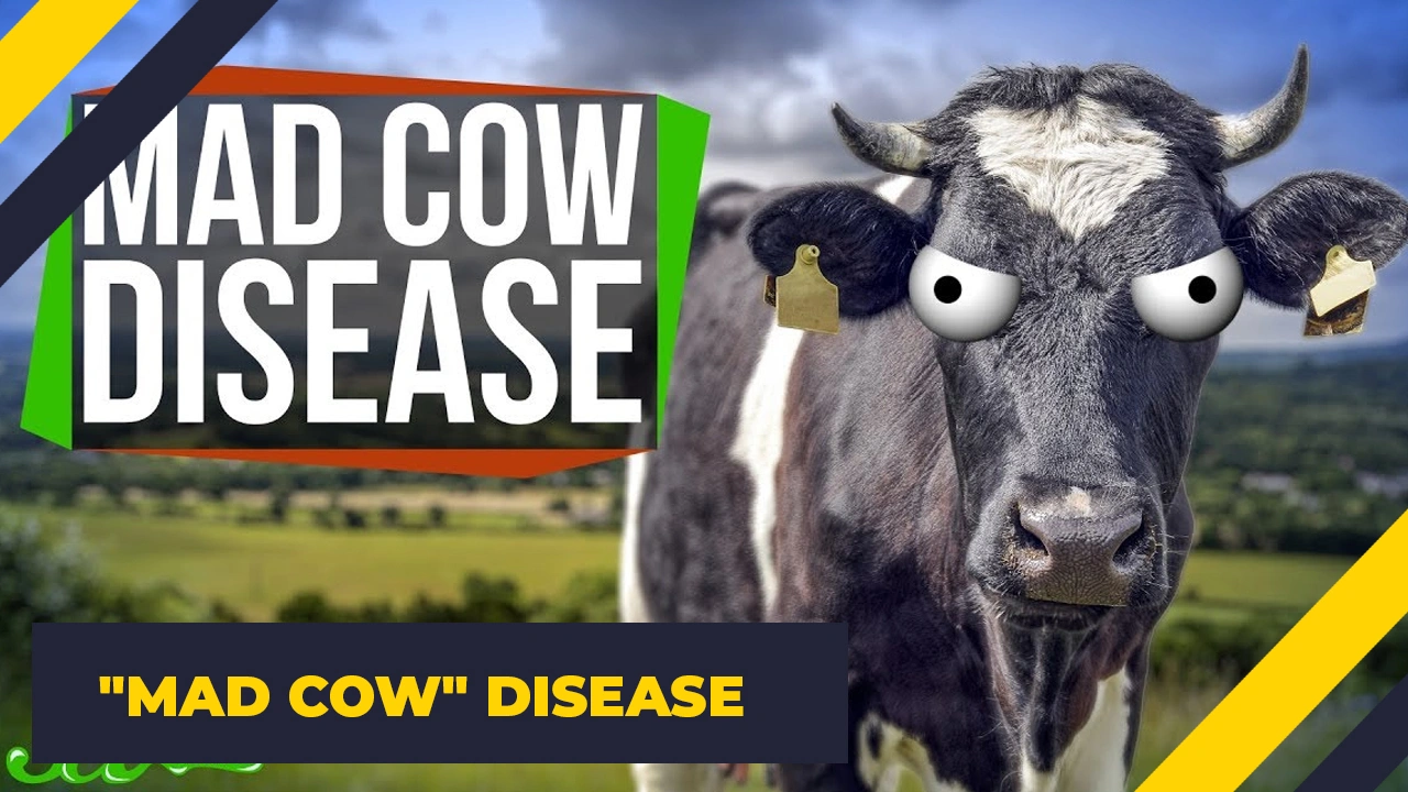 15 Terrifying Illnesses That Exist in Reality