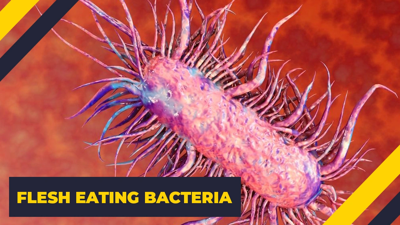 15 Terrifying Illnesses That Exist in Reality