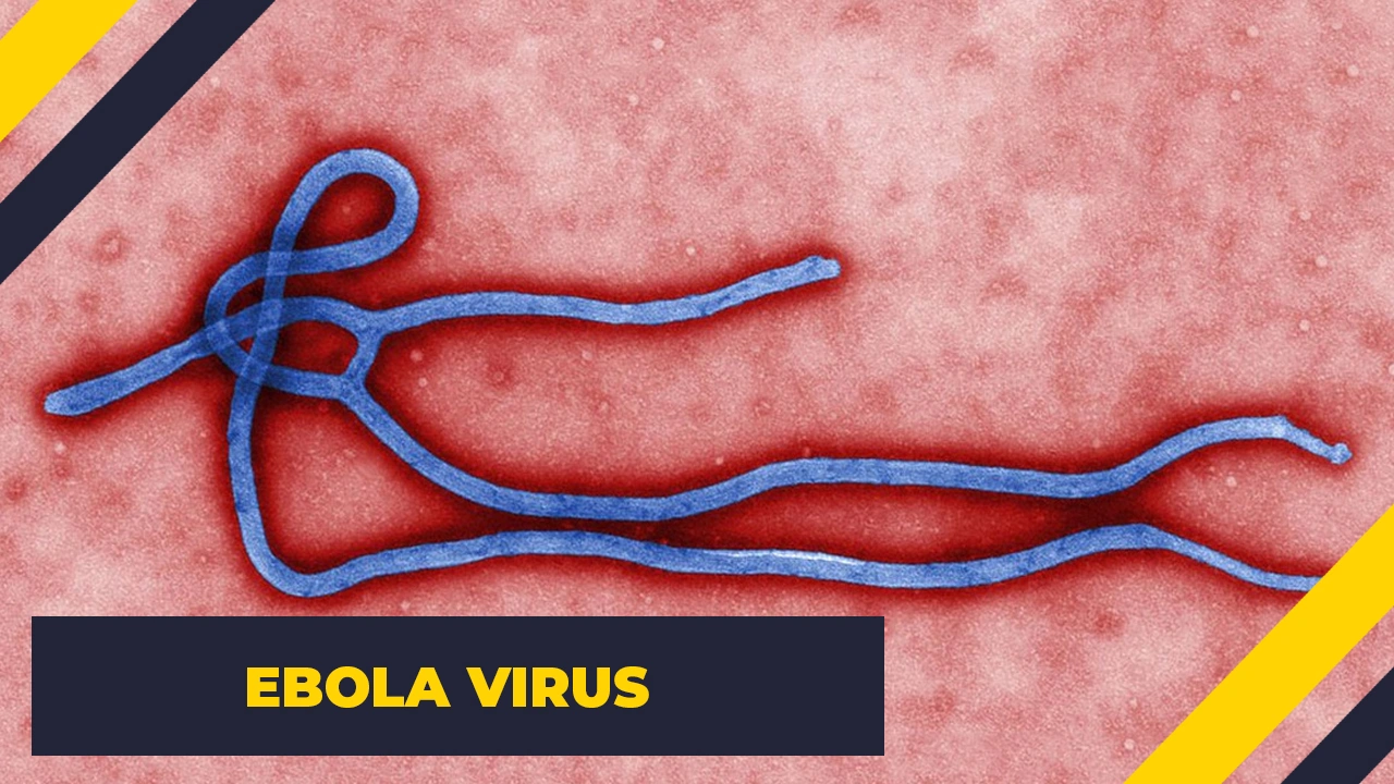 15 Terrifying Illnesses That Exist in Reality