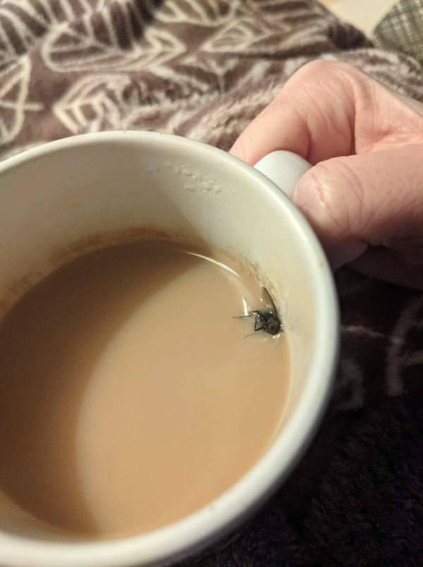 23 Individuals Experiencing Cosmic Misfortune