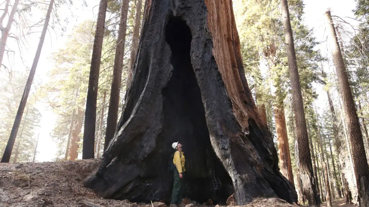 Mother Nature's Dual Nature: 18 Stunning and Powerful Photos from 2021