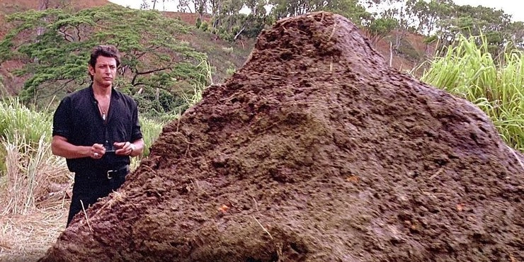 25 Excruciating Experiences That Are Just Shy of Death