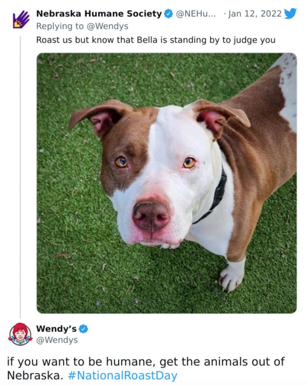 29 Individuals Getting Savagely Roasted by Wendy's on Twitter.