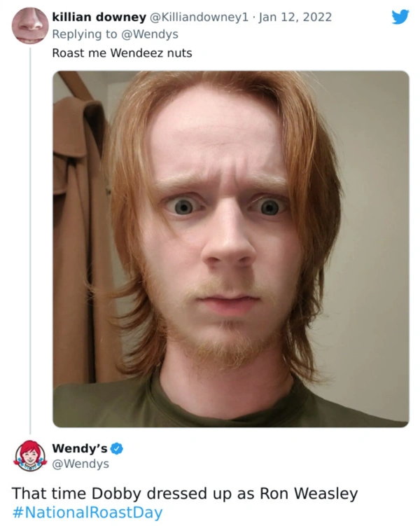 29 Individuals Getting Savagely Roasted by Wendy's on Twitter.