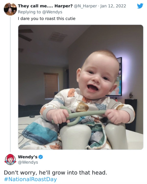29 Individuals Getting Savagely Roasted by Wendy's on Twitter.