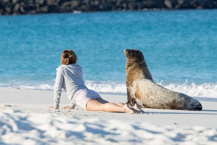 60 Quirky and Entertaining Images to Delight and Amuse Idle Brains