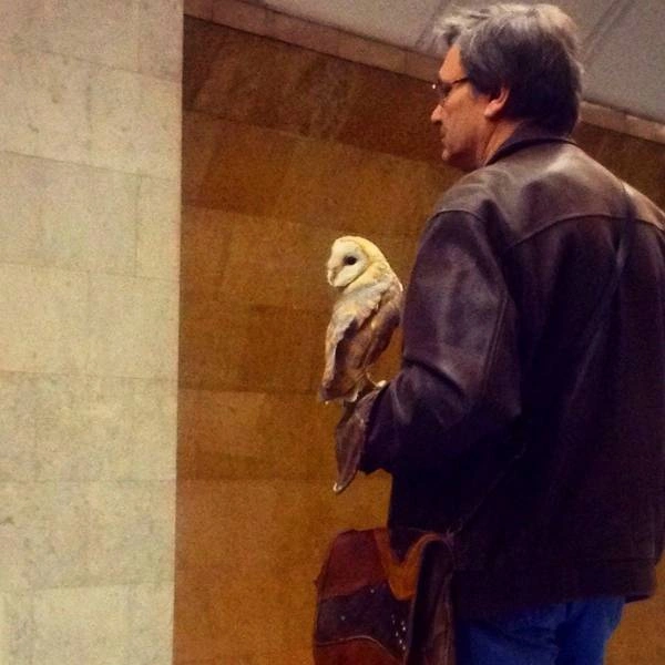 60 Quirky and Entertaining Images to Delight and Amuse Idle Brains