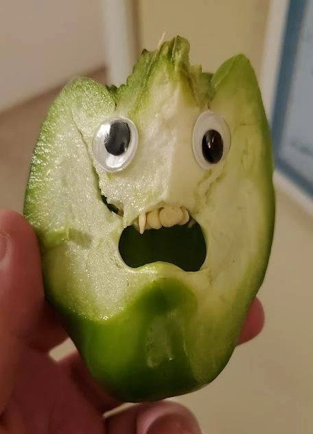 60 Quirky and Entertaining Images to Delight and Amuse Idle Brains