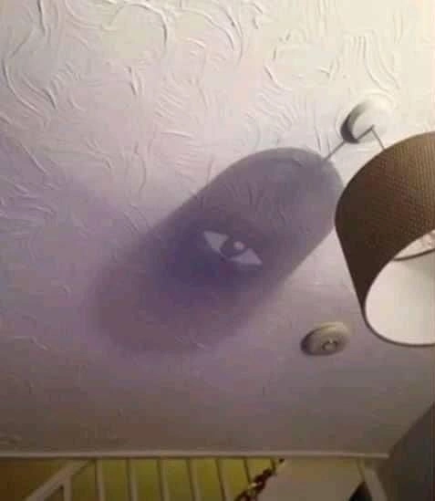 60 Quirky and Entertaining Images to Delight and Amuse Idle Brains