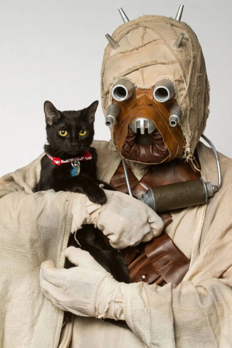 60 Quirky and Entertaining Images to Delight and Amuse Idle Brains
