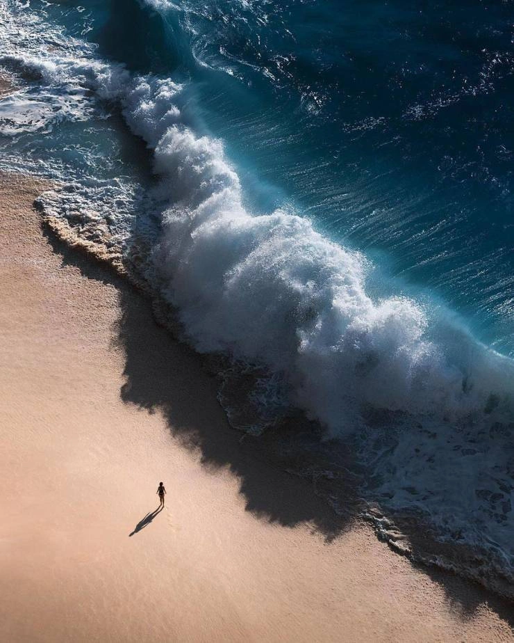 60 Quirky and Entertaining Images to Delight and Amuse Idle Brains
