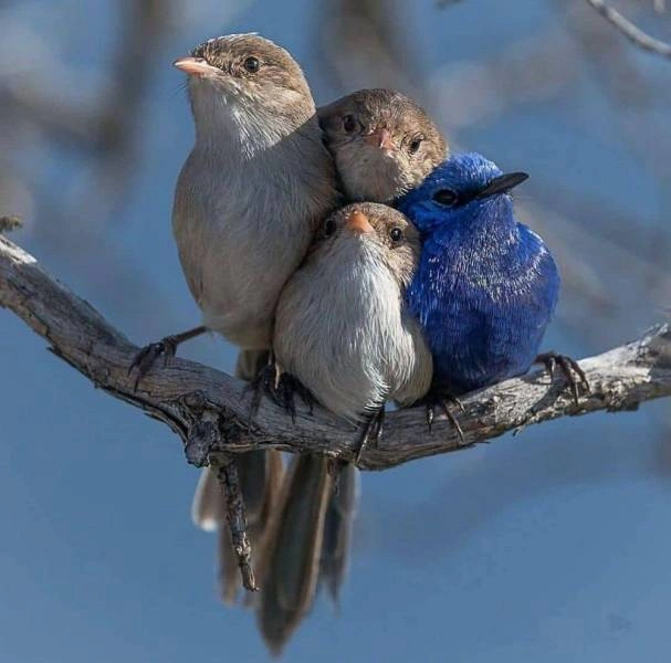60 Quirky and Entertaining Images to Delight and Amuse Idle Brains