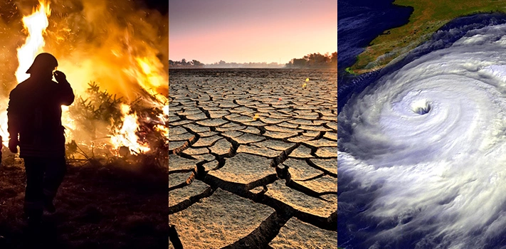 21 Clear Indicators That Have Convinced Us Humanity Is Headed for Disaster