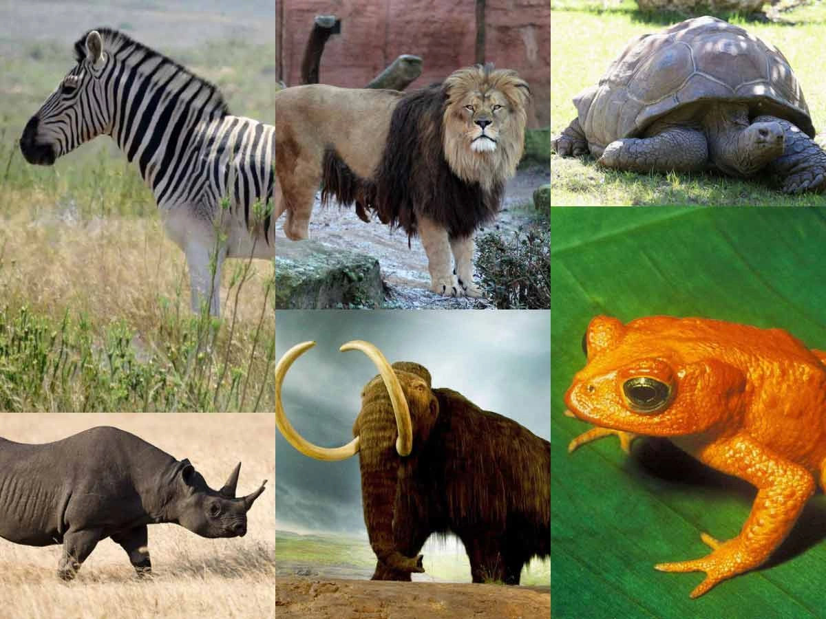 21 Clear Indicators That Have Convinced Us Humanity Is Headed for Disaster