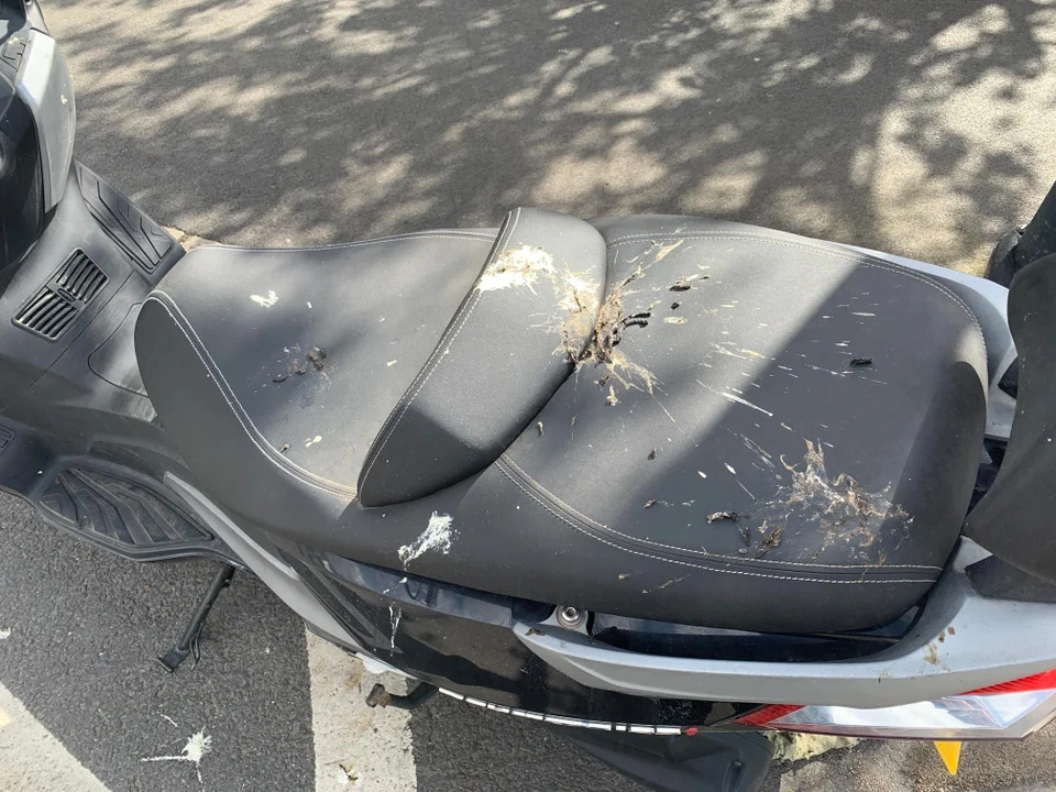 1. When Luck Turned Against 15 Unfortunate Souls2. 15 Tales of Unfortunate Events3. The Unlucky Encounters of 15 Individuals4. 15 Stories of Misfortune5. When Fate Took a Dark Turn for 15 People6. The Unfortunate Experiences of 15 Individuals7. 15 Instanc