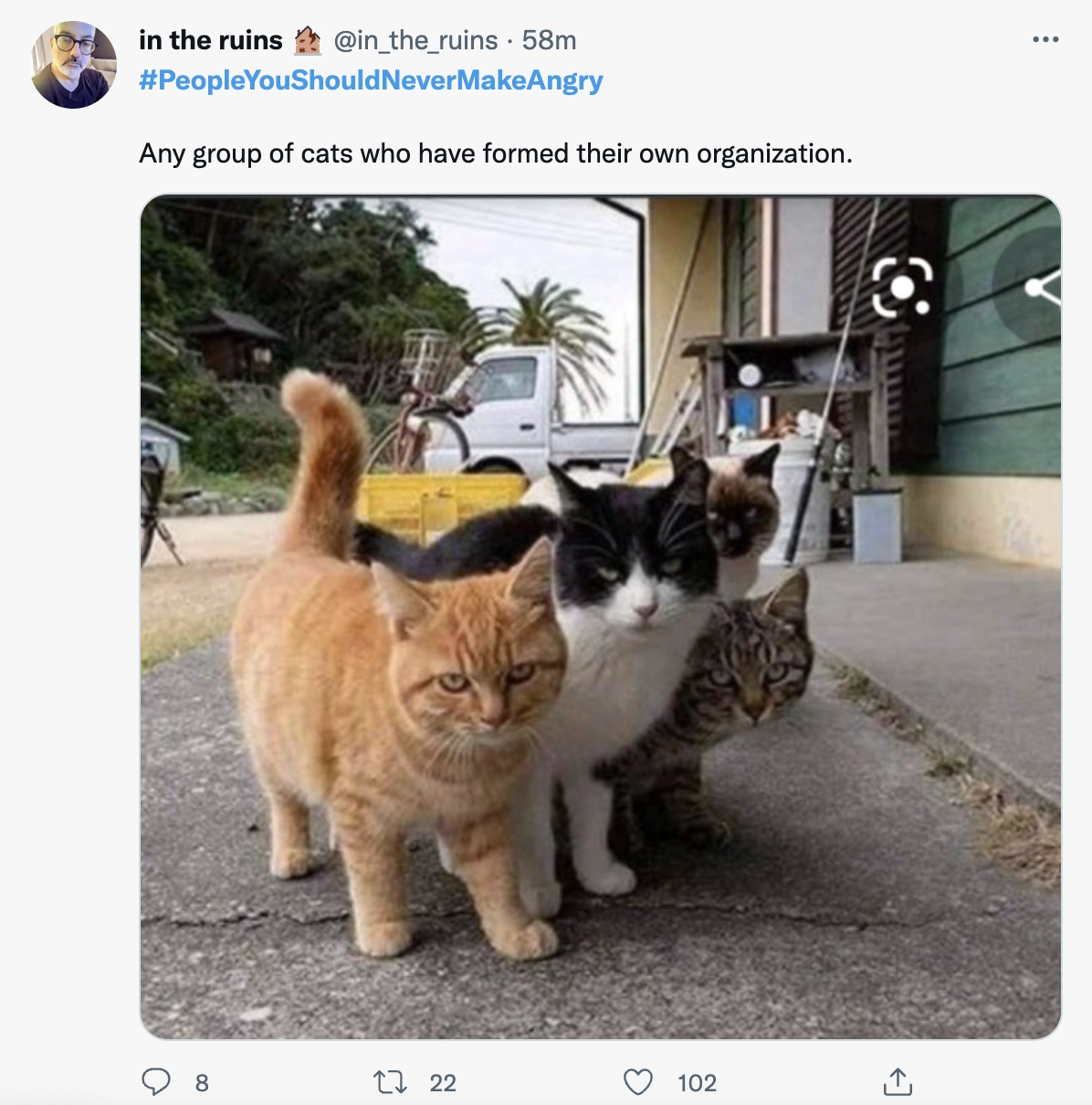 22 Individuals Who Are Best Avoided When Upset