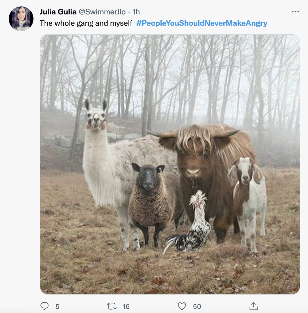 22 Individuals Who Are Best Avoided When Upset