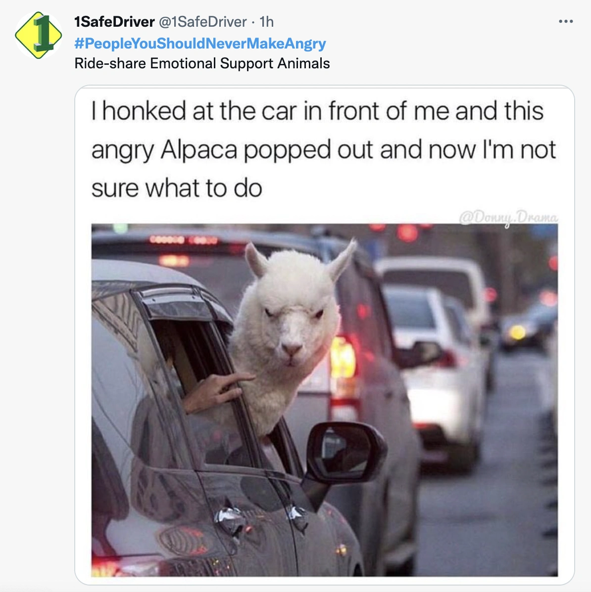 22 Individuals Who Are Best Avoided When Upset