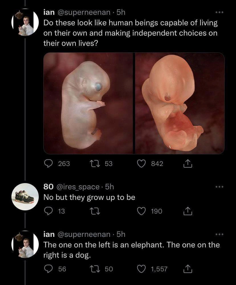 20 Brutal Clapbacks That Left No Survivors