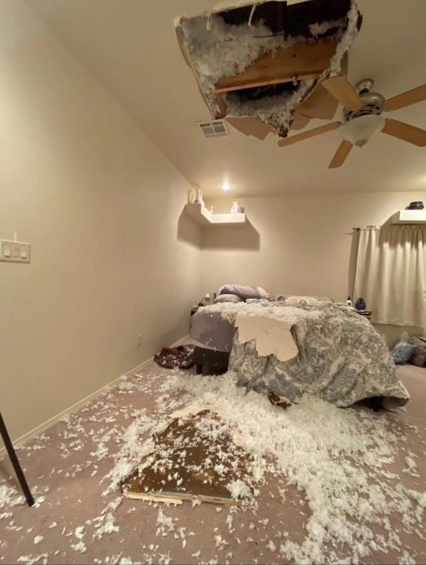 28 Individuals Enduring a Terrible Day