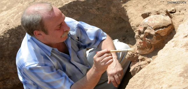 25 Exciting Careers That Might Not Live Up to Expectations